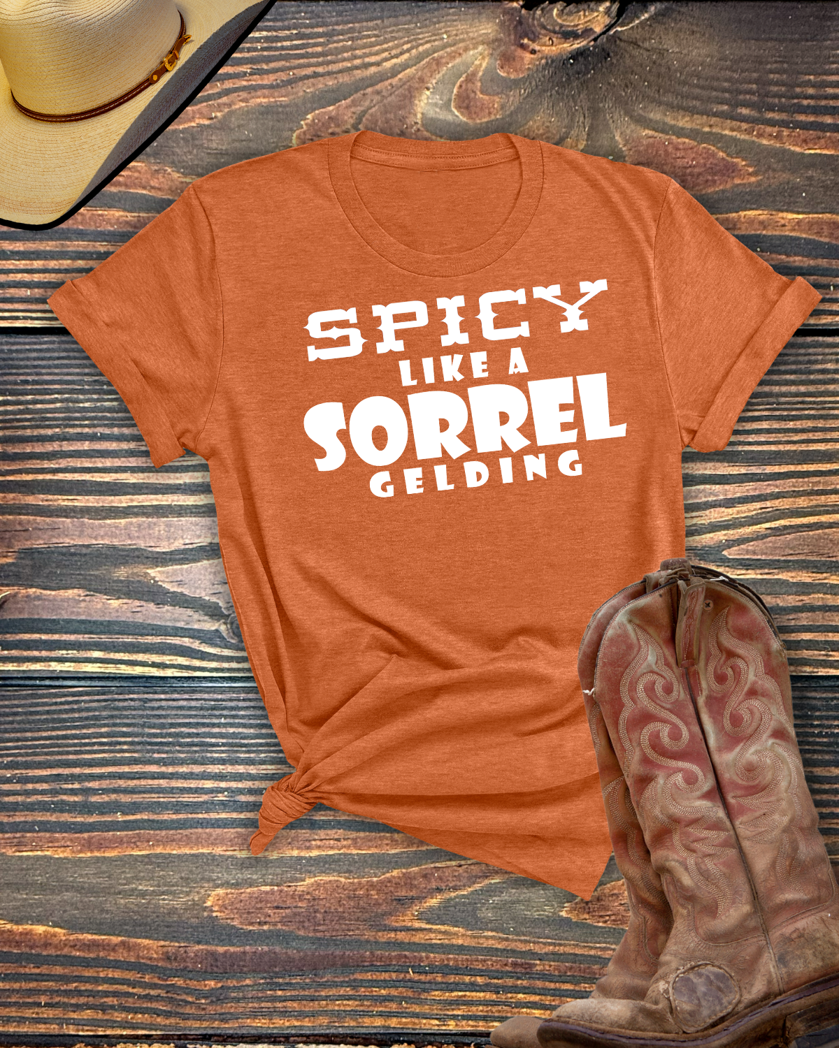 Spicy Like a Sorrel Gelding