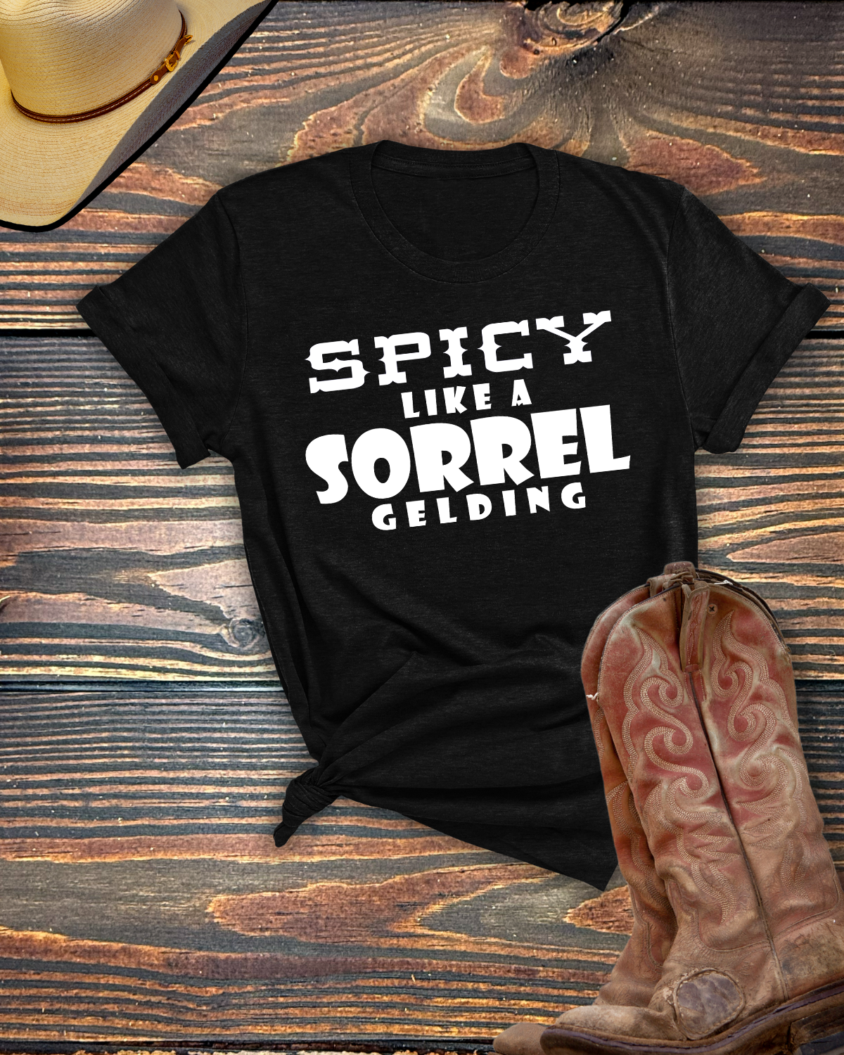 Spicy Like a Sorrel Gelding
