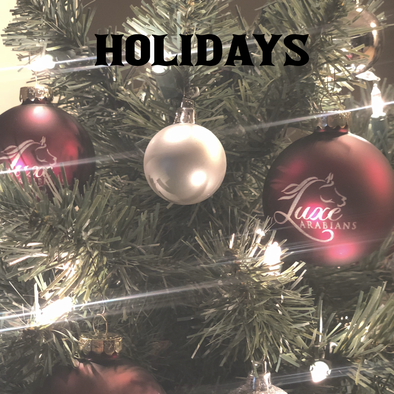 Holidays