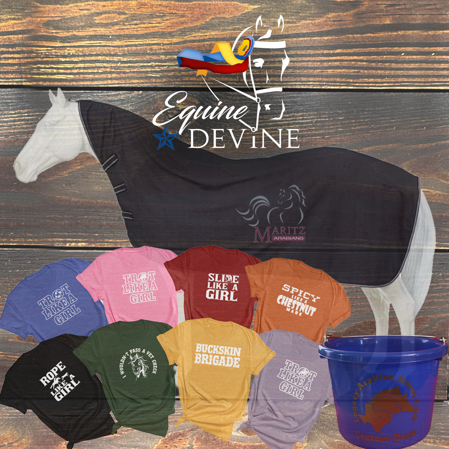 Equine Devine Collection Logo of Horse with Championship ribbon in yellow, blue, and red