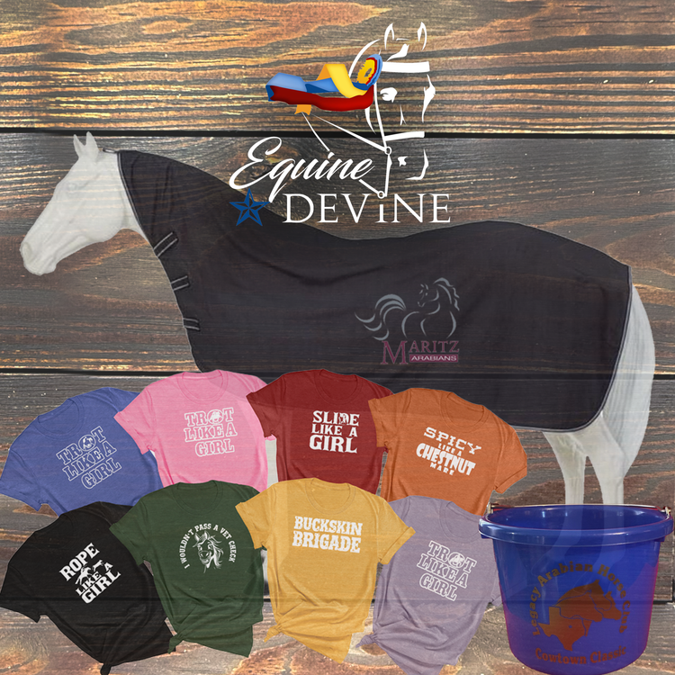 Equine Devine Collection Logo of Horse with Championship ribbon in yellow, blue, and red